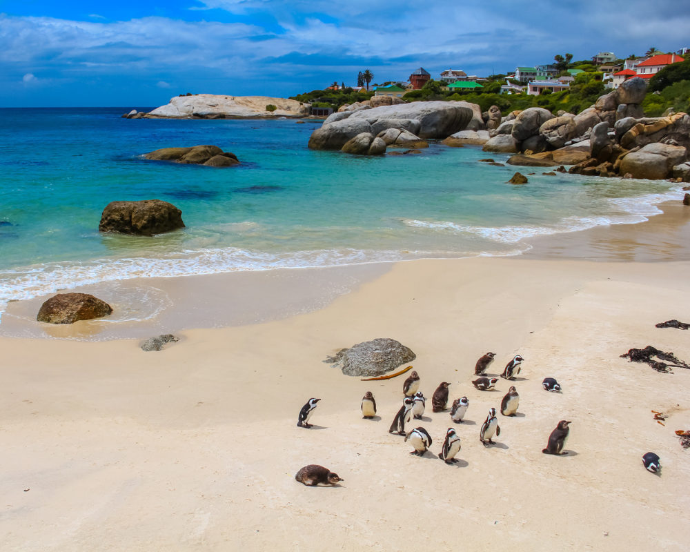 Boulders Beach